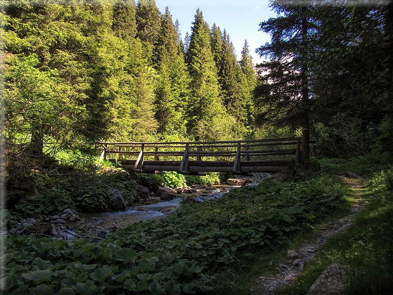 foto Malga Valsorda